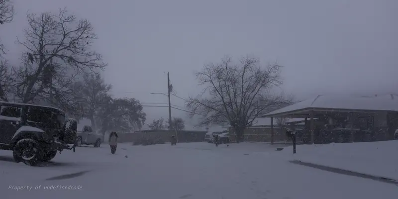 Snowy morning scene, captured on January 21, 2025