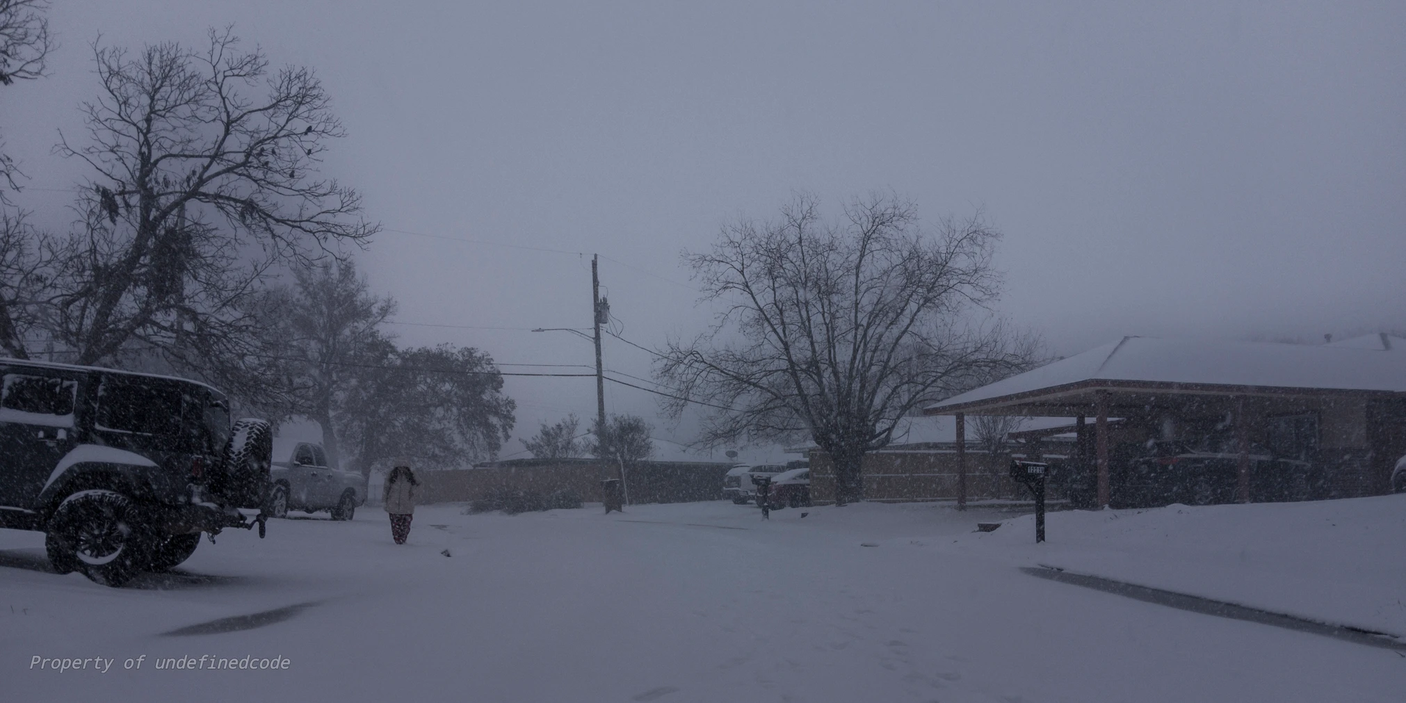 Snowy morning scene, captured on January 21, 2025