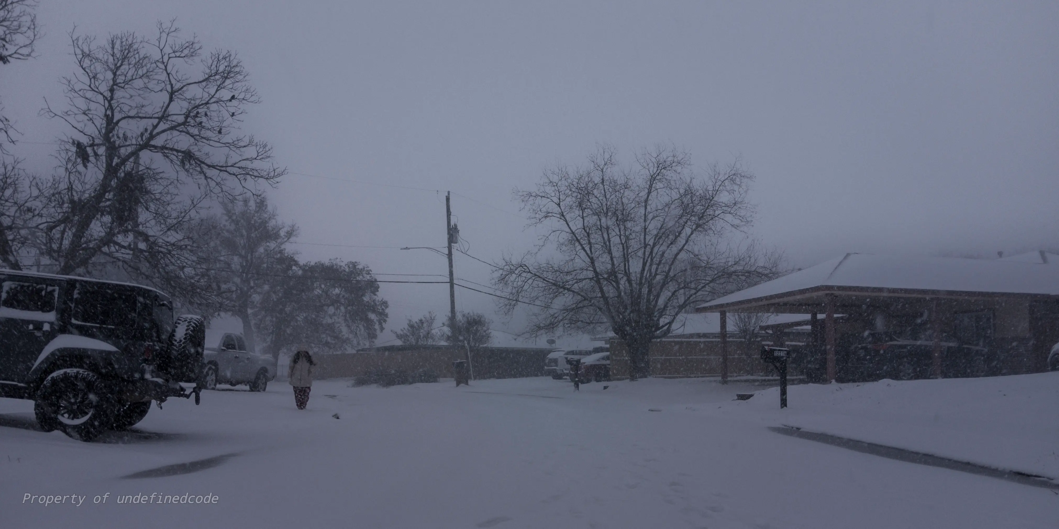 Snowy morning scene, captured on January 21, 2025