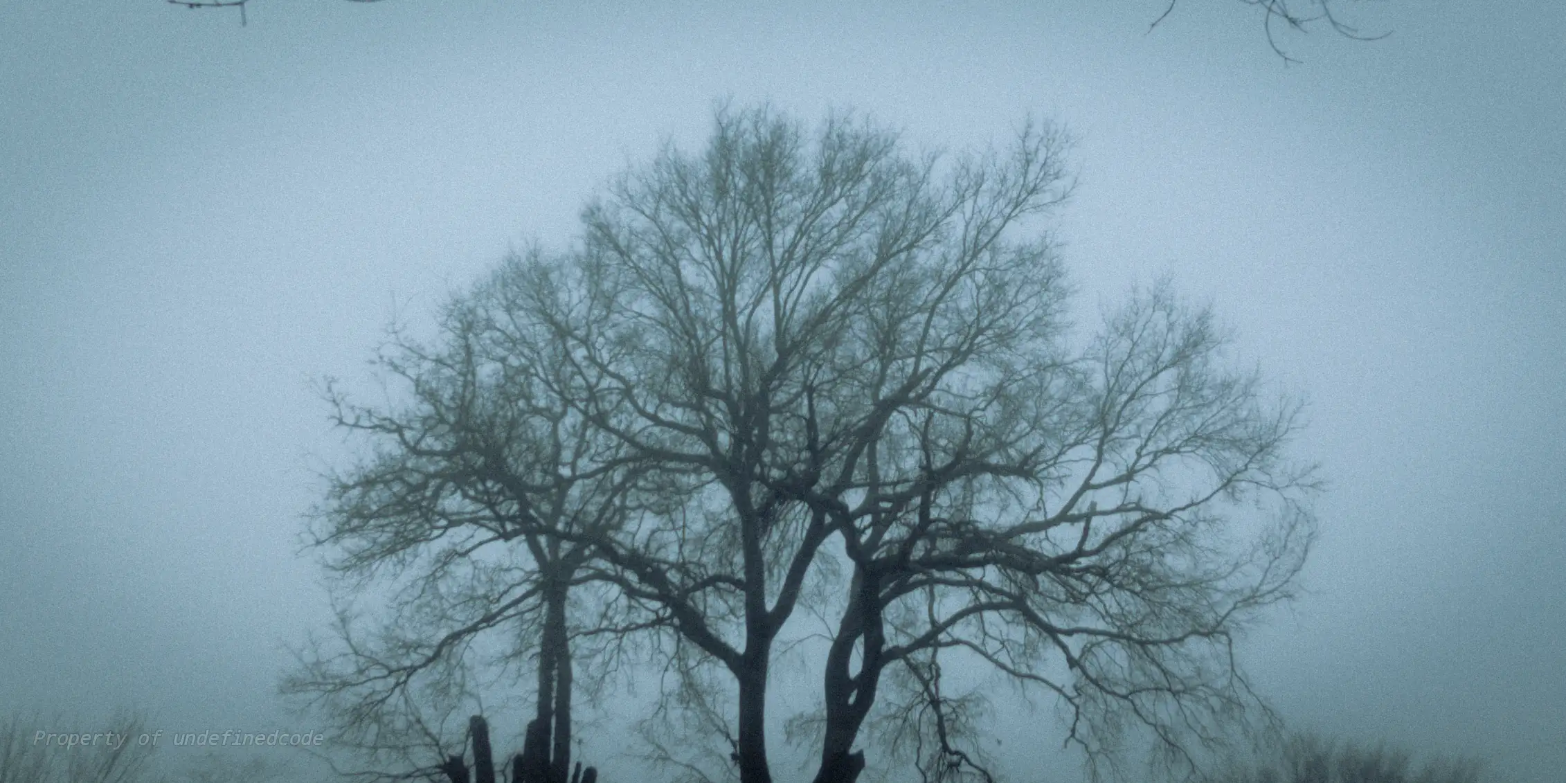 Early foggy morning, captured on February 25, 2025